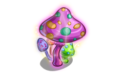 Magic Mushroom'